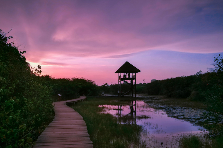 Sri Lanka: 9-Day Honeymoon Tour with Accommodation