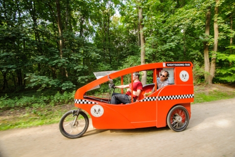 Berlín: tour privado en E-Rickshaw con recogidaTour privado de 2 horas