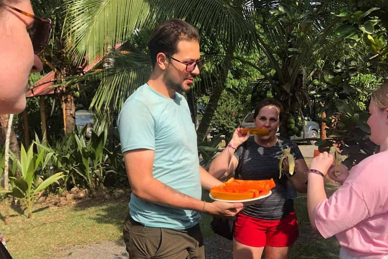 San Carlos : Visite guidée de l'art de la fabrication du chocolat à Don Olivo