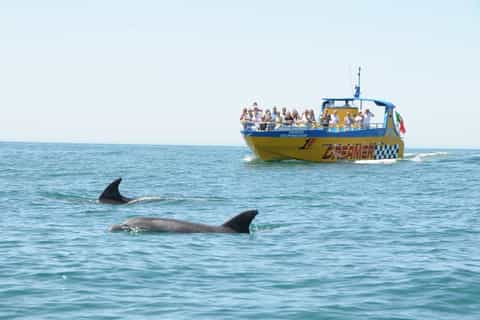 Albufeira: Passeio de Barco c/ Golfinhos e Grutas Marinhas