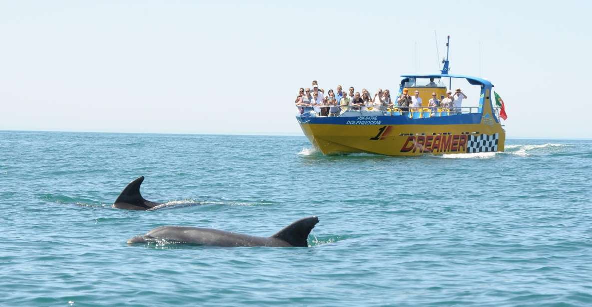 Albufeira: tour en barco de 2,5 h con cuevas y delfines