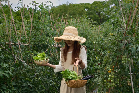 HANGZHOU: Farm Tour with Cooking Class and Flower Workshop