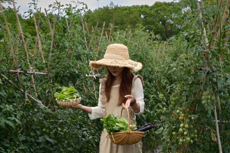 HANGZHOU: Farm Tour with Cooking Class and Flower Workshop