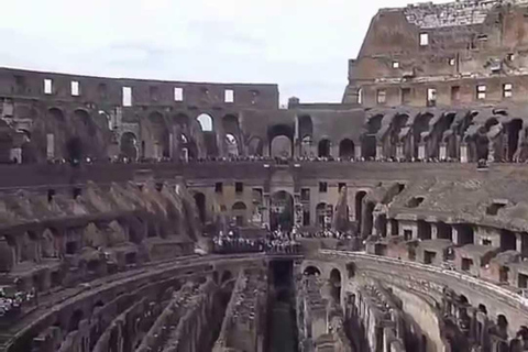 Rome: Colosseum, Roman forum & palatine hill private tour Colosseum , Roman forum & palatine hill private tour