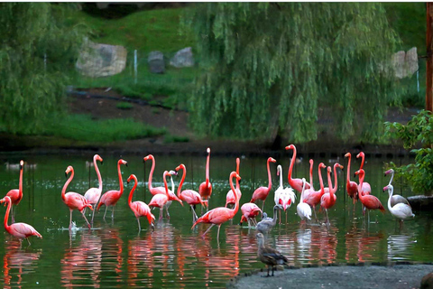 Private Tour from Kutaisi to Batumi Black Sea Las Vegas
