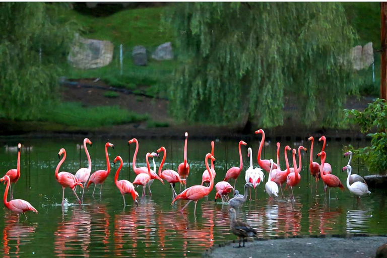 Private Tour from Kutaisi to Batumi Black Sea Las Vegas