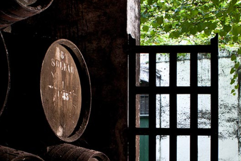 Cádiz: Bodegas Barbadillo Tour & Wine Tasting Cádiz: Bodegas Barbadillo Tour & Wine Tasting in Spanish