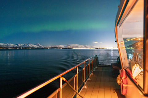 Tromsø: Crociera elettrica con l&#039;aurora boreale