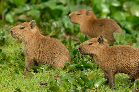 Zagreb: Wissenschaftliche Touren, Zagreat Outdoors