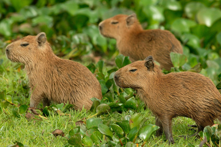 Zagreb: Wissenschaftliche Touren, Zagreat Outdoors