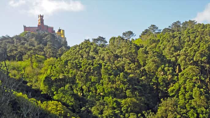 sintra trekking de meio dia no parque natural