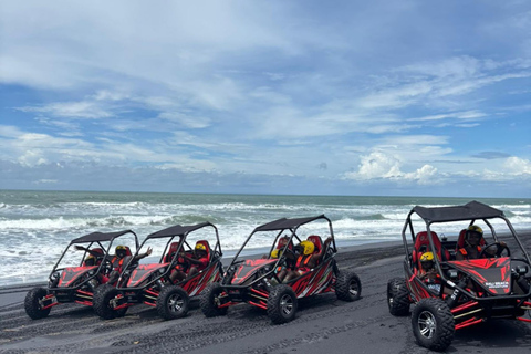 Bali: ATV or Buggy Adventure With Beach & Rice Fields Single ATV / Buggy Ride