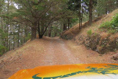 Madeira : Nun&#039;s Valleys and Pico Areeiro 4X4 TourShared tour