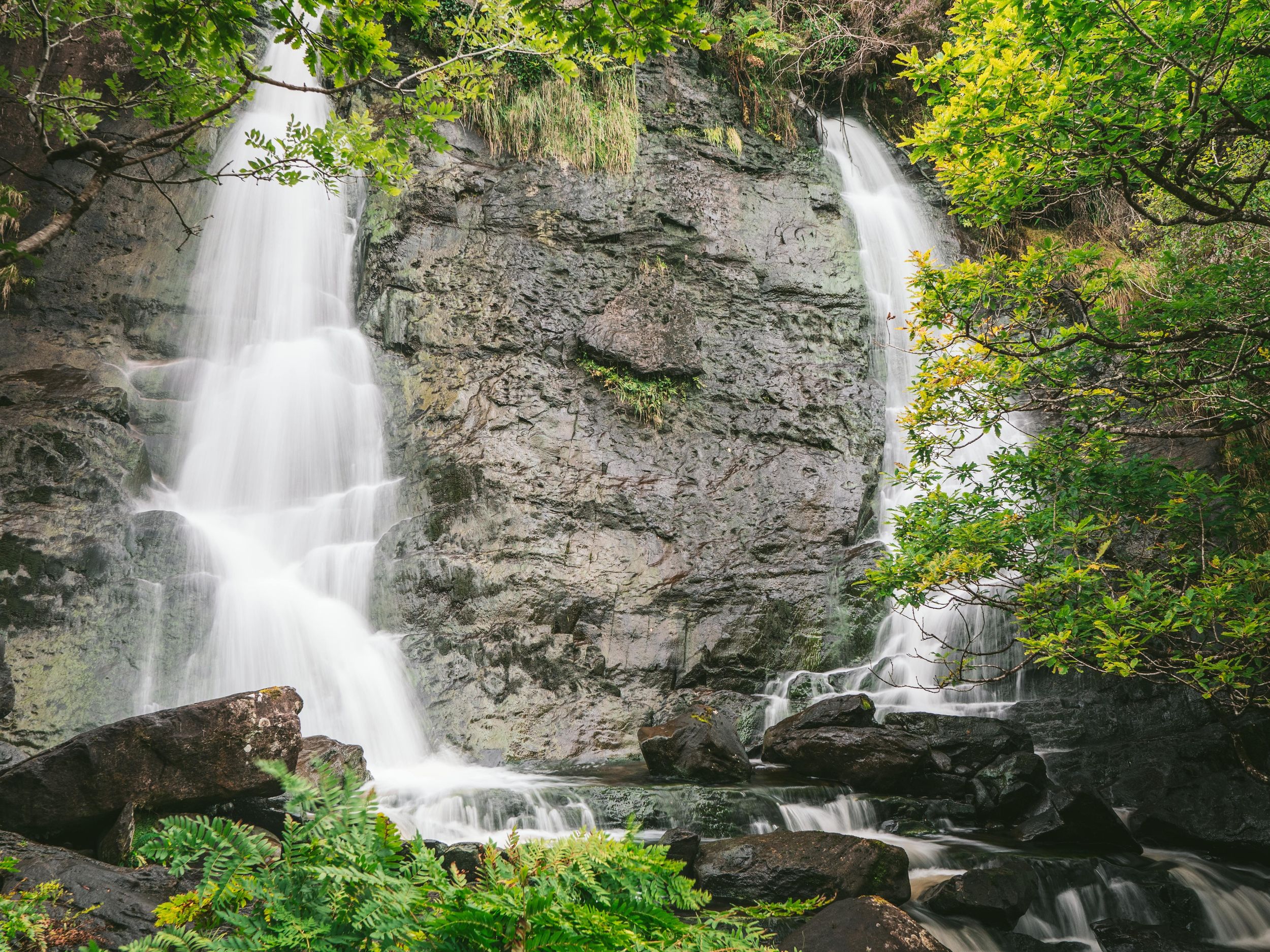 Dublin: Wilde Wicklow Mountains und Glendalough für Kreuzfahrer
