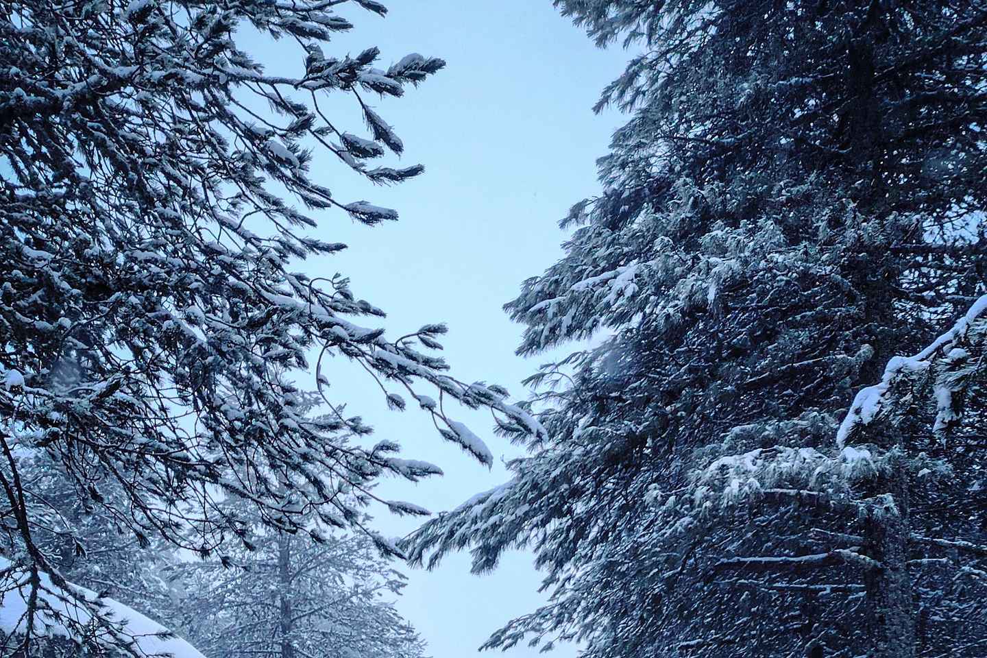 Passeio Guiado em 4x4 para conhecer a Serra da Estrela