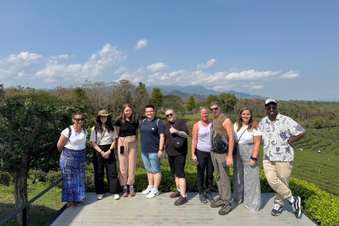 Chiang Rai:Guided Highlights Full-Day Tour-FREE LUNCH BUFFET Experience the Wonders of Chiang Rai with Free Thai Buffet