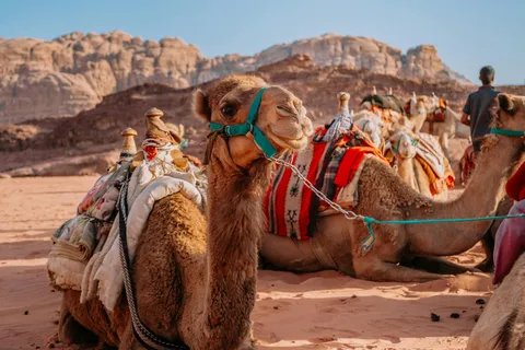 De Jaipur: Viagem de 1 dia privada a Pushkar e Ajmer