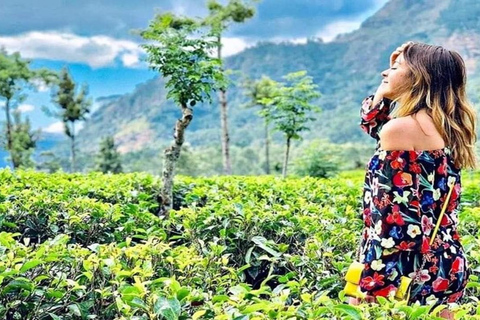 Kandy: City Tour with Temple of the Tooth & Lake Views