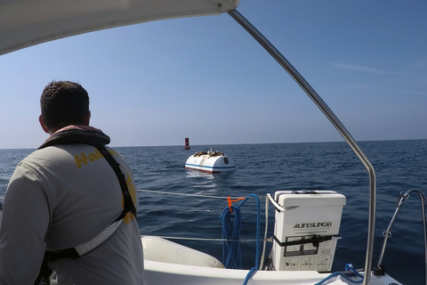 Marina Del Rey: 2 uur privé catamarantour door de jachthaven