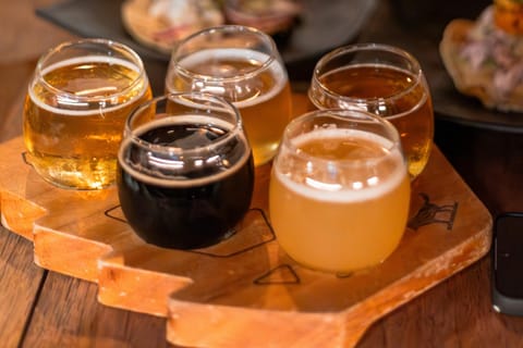 Guadalajara Arquitecture and Brewery Tour