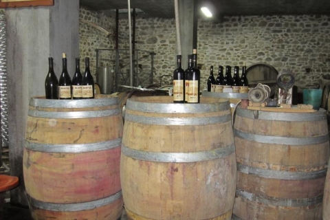 Desde Sofía: tour de Plovdiv de día completo que incluye degustación de vinosTour de cata de vinos de Plovdiv en inglés