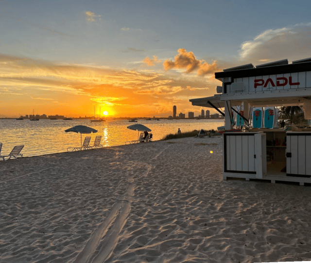 Miami: Paddle Board or Kayak Rental - PADL Beach Club