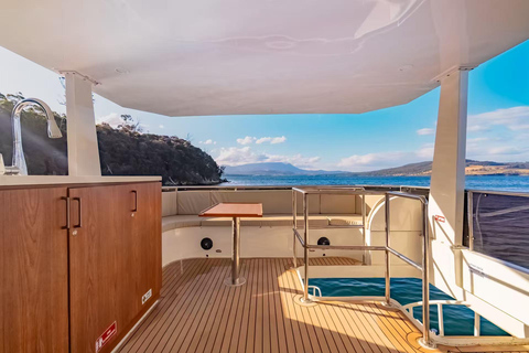 Hobart fishing and diving boat tour