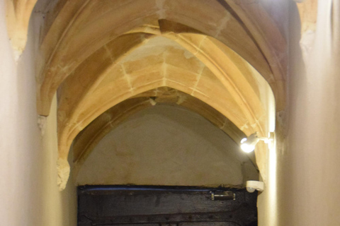 Lyon: Guided walk through the heart of the secret traboules