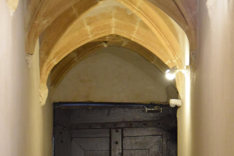 Lyon: Guided walk through the heart of the secret traboules