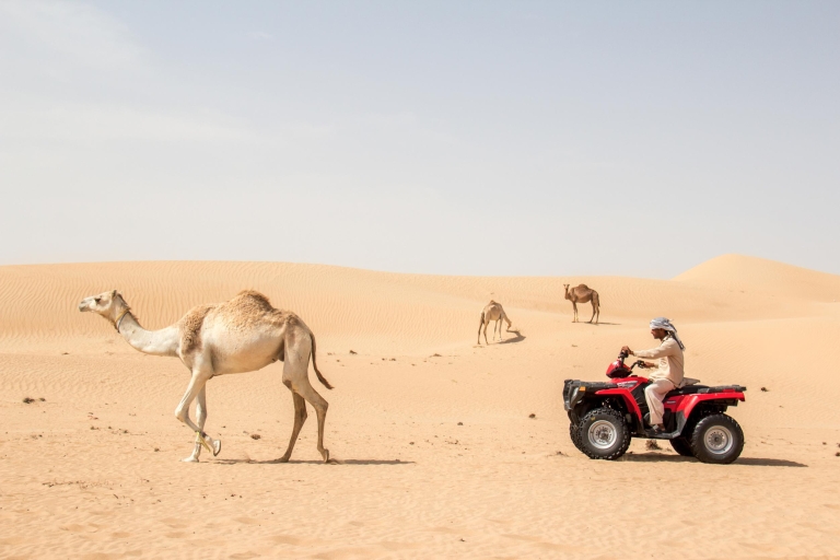 Dubaï : safari en quad, barbecue et spectaclesDubaï : safari quad, dîner barbecue, prise en charge hôtel