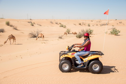 Dubai: Quad-Safari mit BBQ-Abendessen & Live-ShowsDubai: Quad-Safari & Barbecue-Abendessen mit Hotelabholung