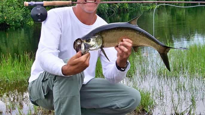west miami 4 hour airboat bass fishing