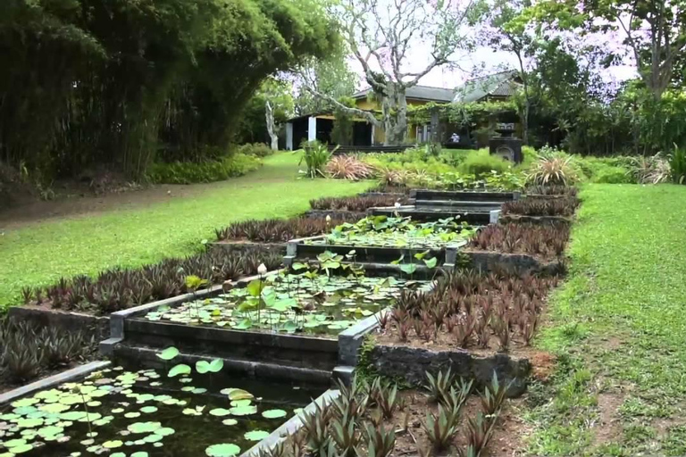 La migliore guida di viaggio dello Sri Lanka: Attrazioni principali Scoprire