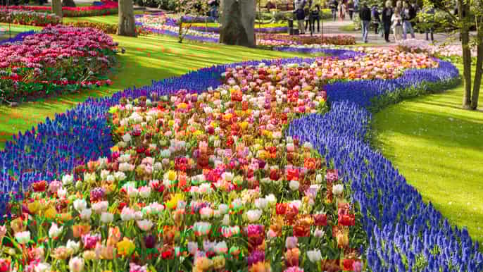 keukenhof gardens 5hour group tour in spanish