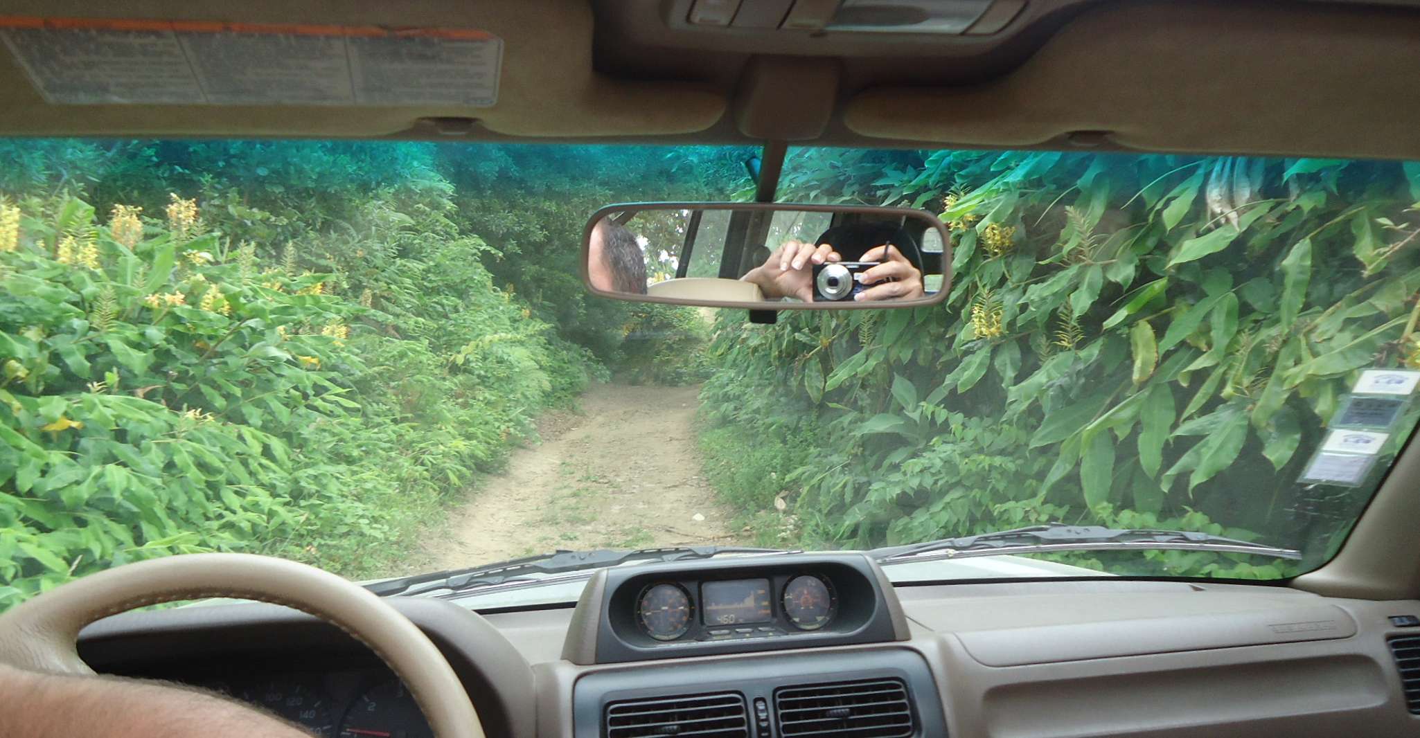 Ponta Delgada, tournée privée entière ou demi-journée 4x4 São Miguel - Housity