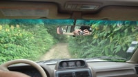 Ponta Delgada, Private Full or Half-Day 4x4 São Miguel Tour - Housity