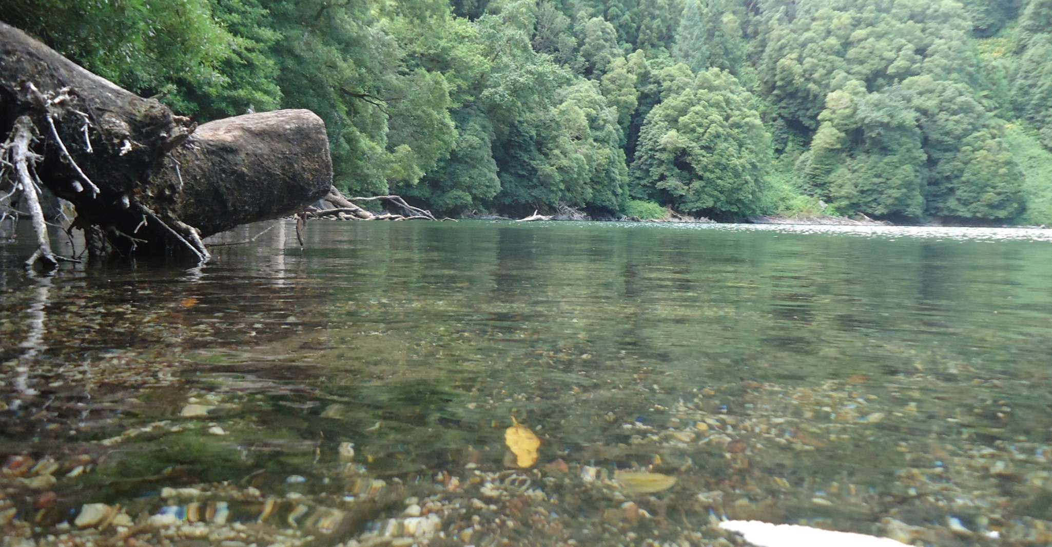 Ponta Delgada, tournée privée entière ou demi-journée 4x4 São Miguel - Housity