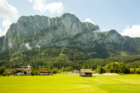 Desde Viena: Tour de 1 día en SalzburgoTour en inglés