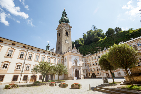 Från Wien: Dagstur till SalzburgDagstur på spanska