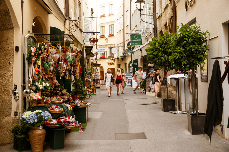 Depuis Vienne : visite d'une journée à SalzbourgVisite en anglais