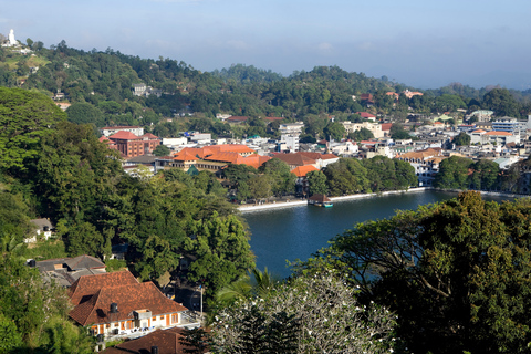 Negombo to Kandy: Pinnawala/ Tea Factory (private Tour)