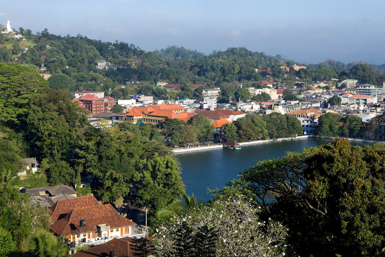 Negombo to Kandy: Pinnawala/ Tea Factory (private Tour)
