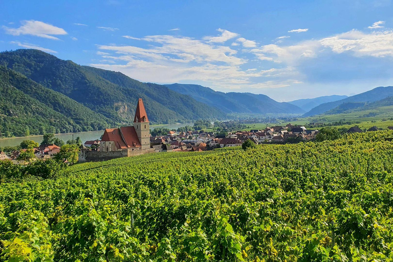 From Vienna: Wachau Valley Day Trip, Private Tour Premium Private Tour: V-Class Mercedes up to 5 passengers