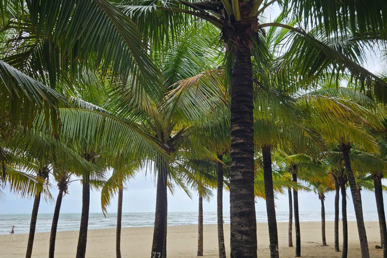 Da Nang : montagne de marbre, pont du Dragon, plage en moto