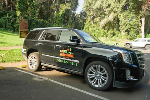 From Maui: Road to Hana Rainforest and Waterfall Experience