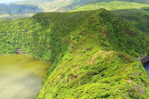 Flower Island: Van Tour