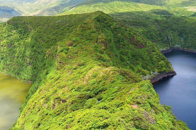 Flower Island: Van Tour