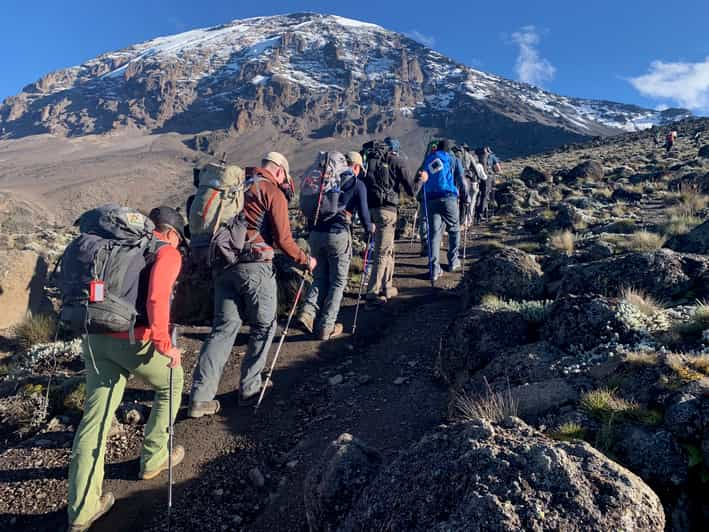 Escalada Al Kilimanjaro D As Ruta Machame Getyourguide