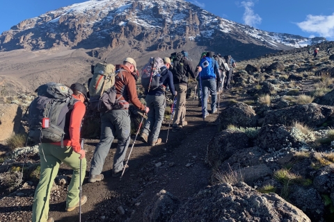 Kilimanjaro klimmen 7-daagse Machame-route