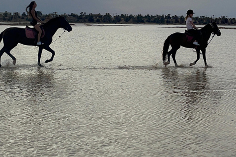 Djerba: Individual Horse Riding in the Blue Lagoon.
